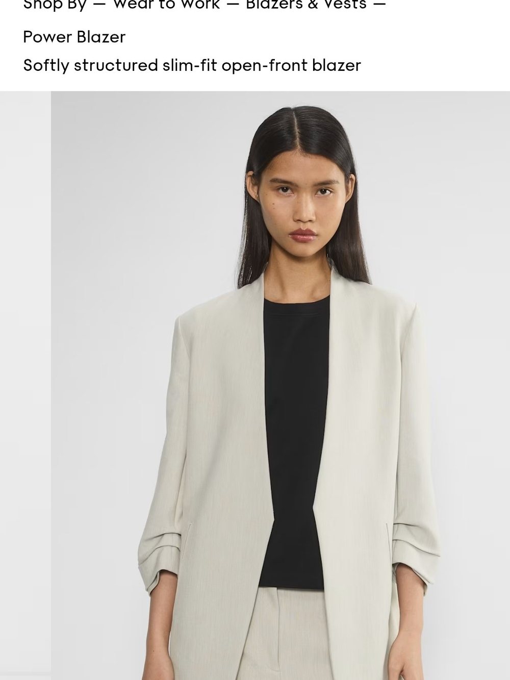 Aritzia Babaton Atelier Power Blazer